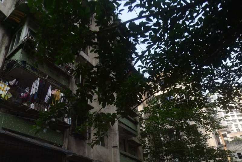 建東一村 建東一村
