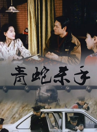 巍子(王巍（中國影視演員、話劇演員）)