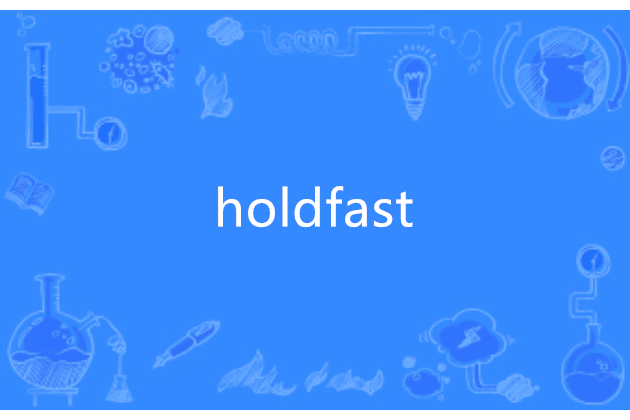 holdfast holdfast