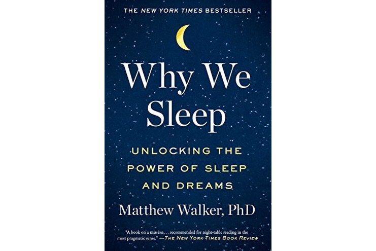 Why We Sleep Why We Sleep