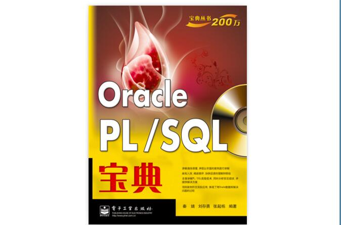 Oracle PL/SQL寶典