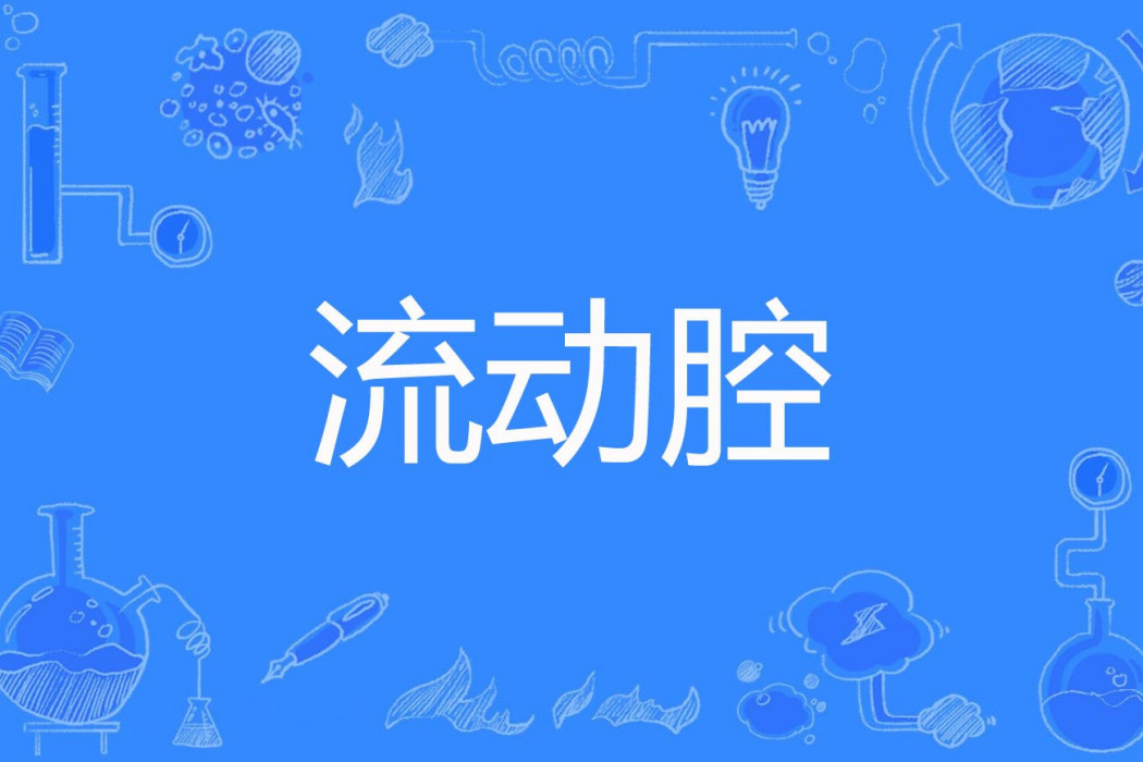 流動腔 流動腔