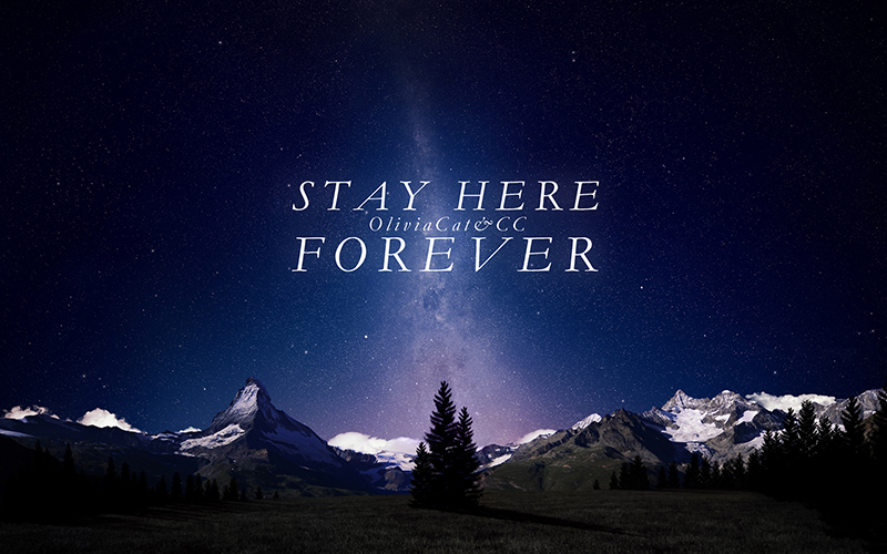 stay here forever