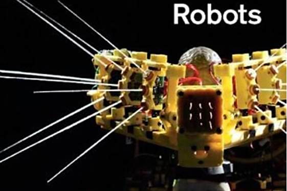 Neuromorphic and Brain-Based Robots