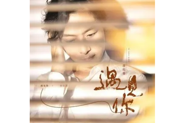 遇見你(夜陽青演唱的歌曲) 遇見你(夜陽青演唱的歌曲)
