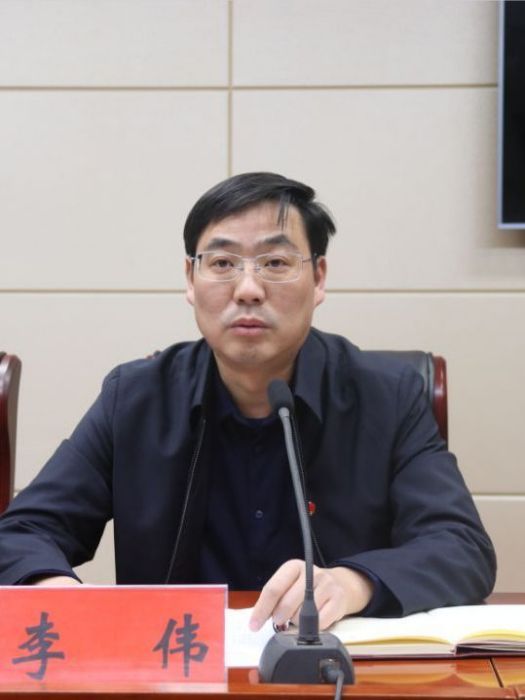李偉(河南省信陽市光山縣委副書記、縣長)