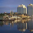 哈利法克斯(halifax)