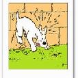 Milou Milou