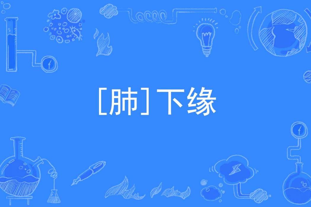 [肺]下緣
