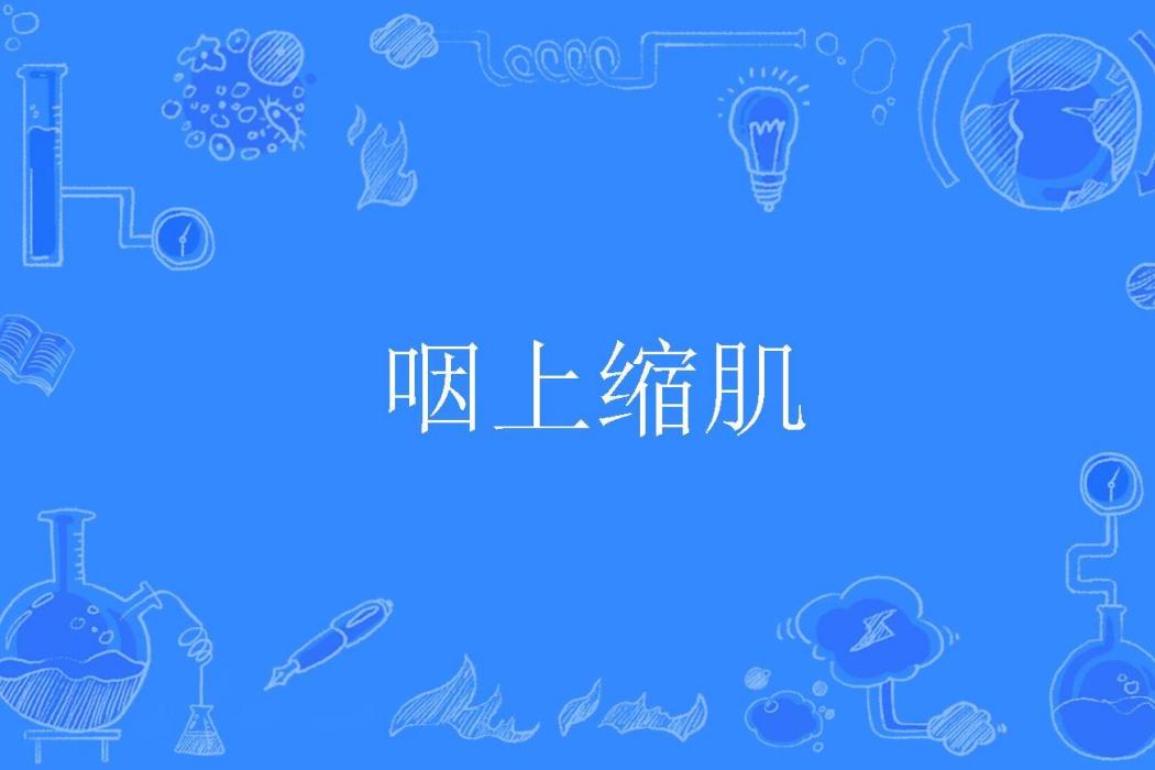 咽上縮肌 咽上縮肌