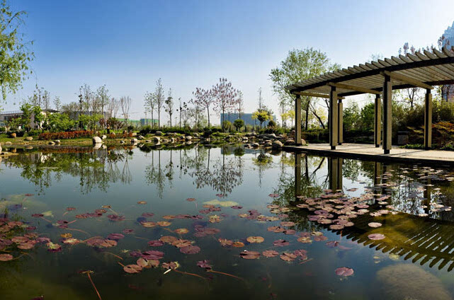 鄭東新區濕地公園