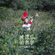 尋名問姓(GALA樂隊歌曲) 尋名問姓(GALA樂隊歌曲)