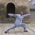 大洪拳 大洪拳