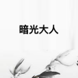暗光大人 暗光大人
