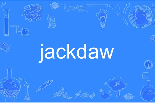 jackdaw jackdaw