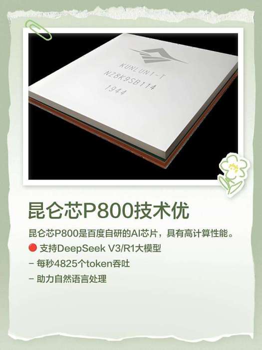 崑崙芯 P800 崑崙芯 P800