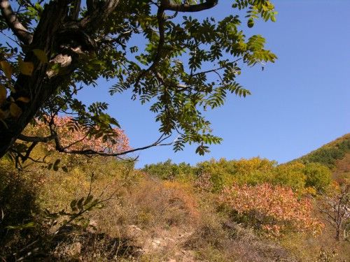 劉杖子村(遼寧省朝陽市凌源市劉杖子鄉劉杖子村) 劉杖子村(遼寧省朝陽市凌源市劉杖子鄉劉杖子村)