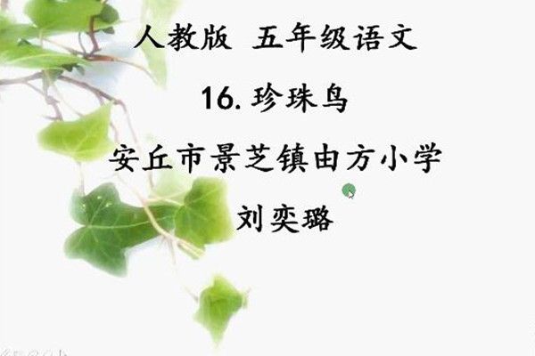珍珠鳥(微課課程) 珍珠鳥(微課課程)