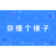 你懂個錘子