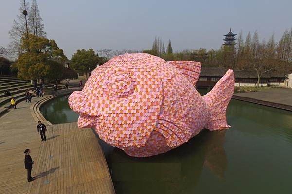 粉紅魚 粉紅魚