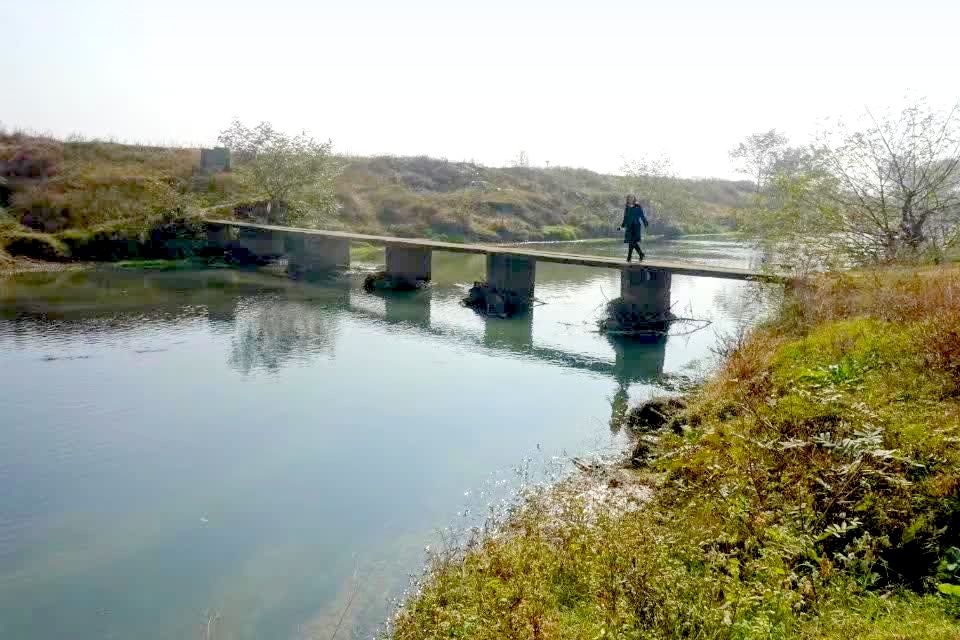 羅水