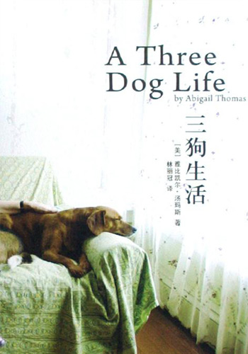 三狗生活