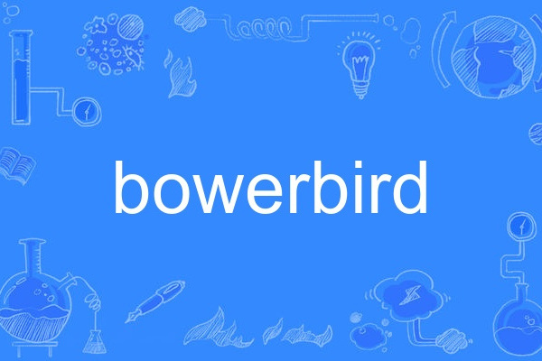 bowerbird bowerbird
