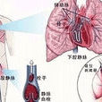肺動脈總乾及分支狹窄的手術治療