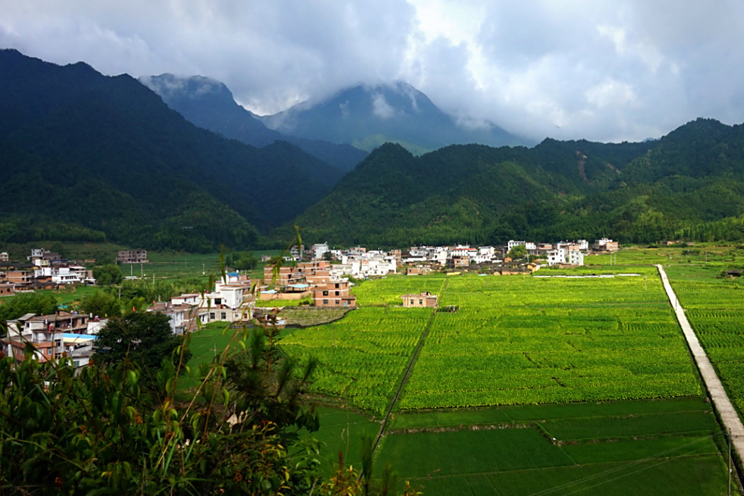 江畲村 江畲村