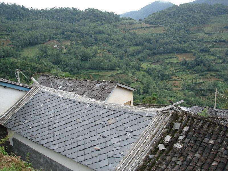 子宜樂村 子宜樂村
