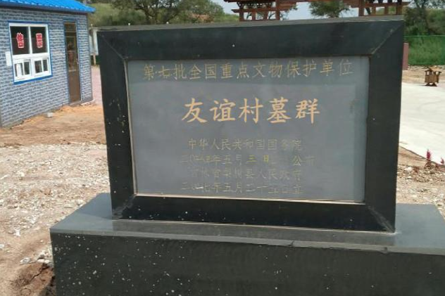 友誼村墓群 友誼村墓群