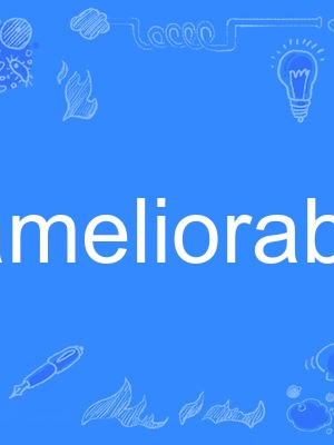 ameliorable ameliorable