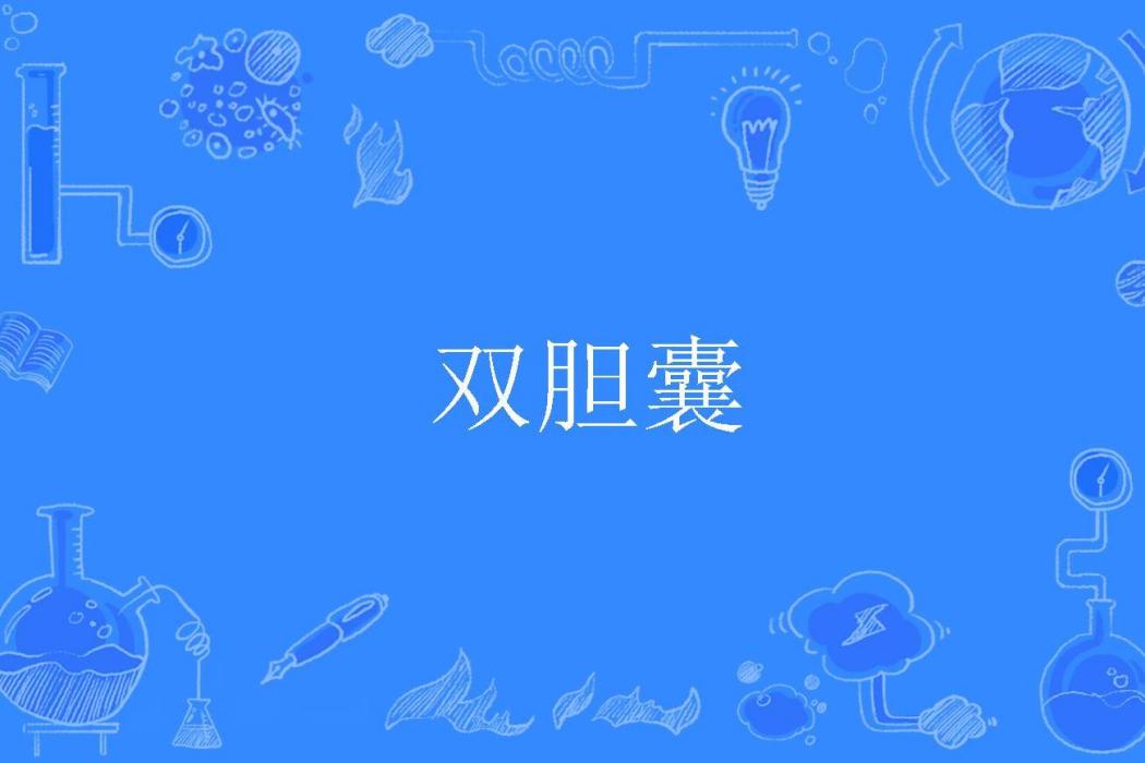 雙膽囊 雙膽囊