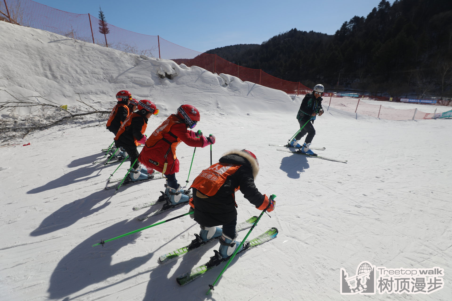 樹頂漫步青少年滑雪訓練學校