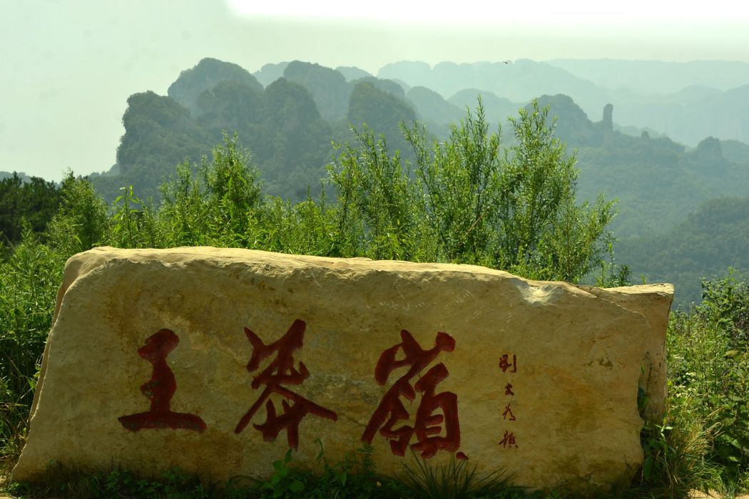 王莽嶺(山峰山脈) 王莽嶺(山峰山脈)