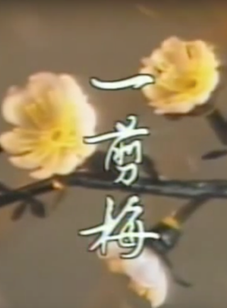 張晨光 張晨光