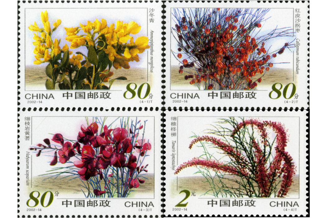 沙漠植物(2002年發行的特種郵票) 沙漠植物(2002年發行的特種郵票)
