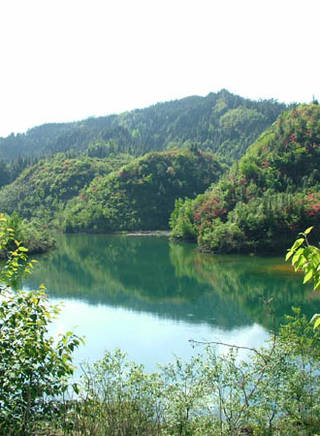 欒浚威 欒浚威