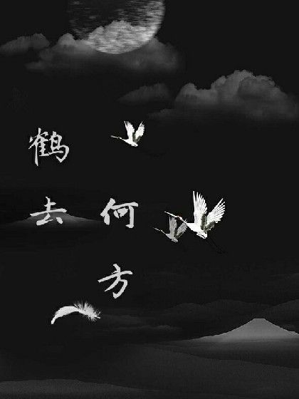 鶴去何方 鶴去何方
