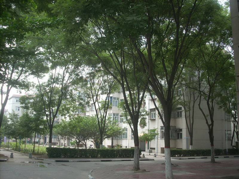 登月新村 登月新村