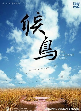 王乙帆 王乙帆