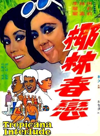 何莉莉