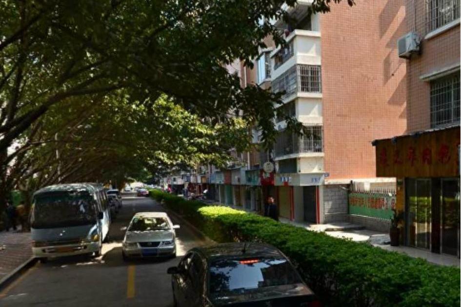 育青路 育青路