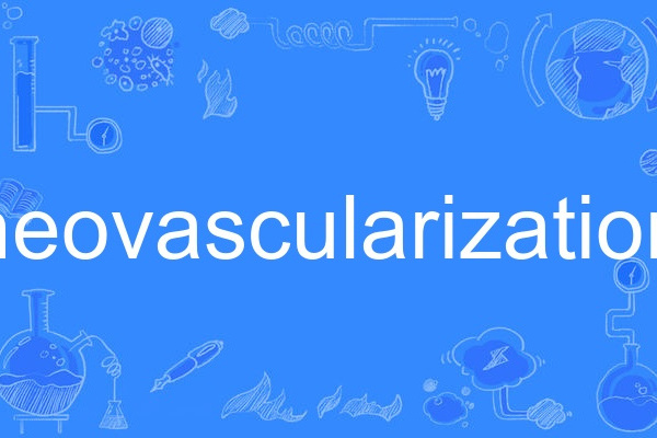 neovascularization neovascularization