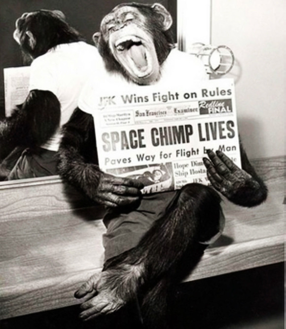 黑猩猩太空人漢姆