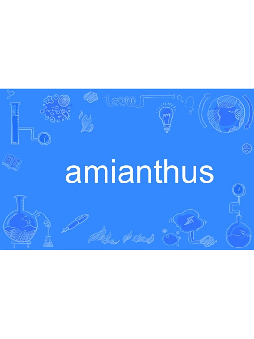 amianthus amianthus