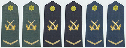 陸海空軍中士軍銜肩章(2009—)
