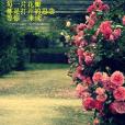 讀薔薇