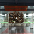 中國湖州古木博物館