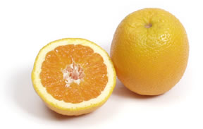 臍血橙(圖片6)